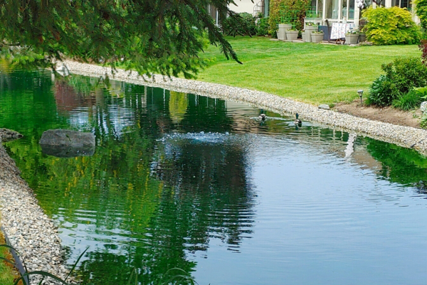 Homeowner Association Pond Management