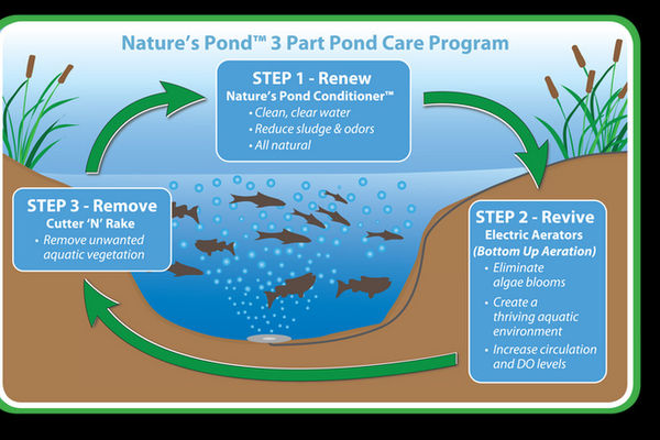 A Natural 3 Part Pond Care Program That Works!