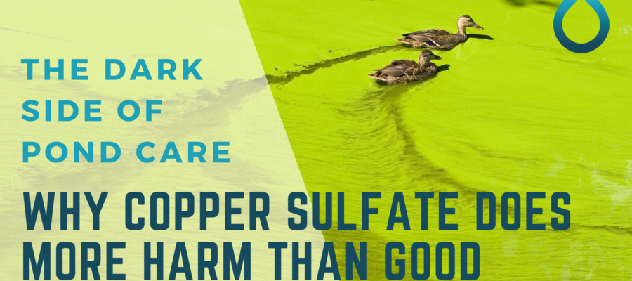 The Dark Side of Pond Care: Why Copper Sulfate Might Be Doing More Harm Than Good