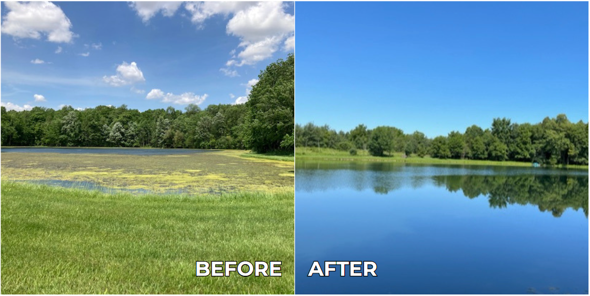 Photos shared by our client in Indiana, USA after treating his pond with our Nature's Pond 3-Step Pond Care Program