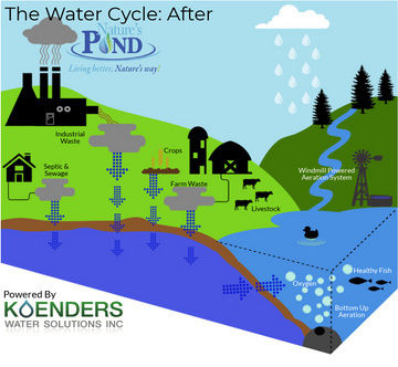 Clean water cycle